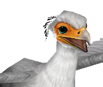 Secretary Bird Baby - Zoo Tycoon 2