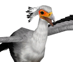 Secretary Bird Female - Zoo Tycoon 2
