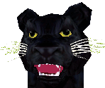 Black Leopard Baby - Zoo Tycoon 2
