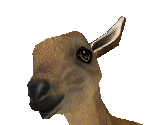 Markhor Baby Male - Zoo Tycoon 2
