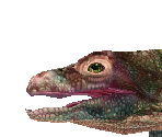 Komodo Dragon - Zoo Tycoon 2