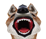 Ethiopian Wolf Female - Zoo Tycoon 2