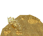 Small Animal Burrow - Zoo Tycoon 2