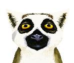 Ring-Tailed Lemur - Zoo Tycoon 2
