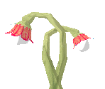 Endangered Species Lamp - Zoo Tycoon 2