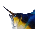 Blue Marlin - Zoo Tycoon 2