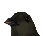 Rockhopper Penguin Baby - Zoo Tycoon 2