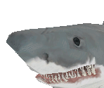 Great White Shark - Zoo Tycoon 2