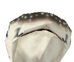 Whale Shark Baby - Zoo Tycoon 2