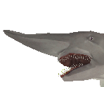 Goblin Shark Baby - Zoo Tycoon 2