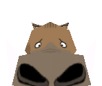 Warthog Gift - Zoo Tycoon 2