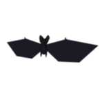 Bat - Harry Potter & the Philosopher's Stone