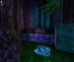 Forbidden Forest - Harry Potter & the Chamber of Secrets