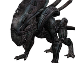 Crusher - Aliens: Colonial Marines