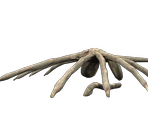 Facehugger - Aliens: Colonial Marines