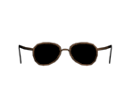 Sun Glasses - Batman: Arkham City