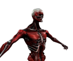 Wolverine (Adamantium Skeleton) - X-Men Origins: Wolverine