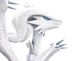#643 Reshiram - Pokkén Tournament / Pokémon Tekken