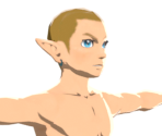 Link - The Legend of Zelda: Breath of the Wild