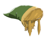 Cap of the Hero - The Legend of Zelda: Breath of the Wild