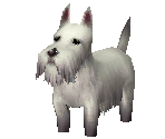 Dog - The Legend of Zelda: Majora's Mask 3D