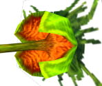 Venus Foxtrap - Star Fox Adventures