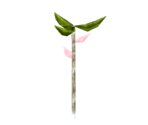Magic Plant (Frost Coated) - Star Fox Adventures