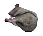 Rat (Dead) - BioShock: Infinite