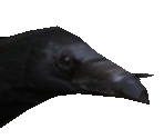 Crow - Sonic Riders
