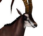 Giant Sable Antelope Male - Zoo Tycoon 2