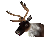 Caribou Female - Zoo Tycoon 2