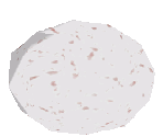 Galapagos Giant Tortoise Egg - Zoo Tycoon 2