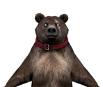 Bear - Street Fighter V