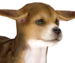 Beagle - Nintendogs + Cats