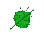 Deku Leaf (Inventory) - The Legend of Zelda: The Wind Waker