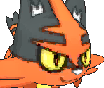 #726 Torracat - Pokémon Ultra Sun / Ultra Moon