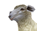 Sheep - Zoo Tycoon 2