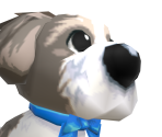 Shih Tzu - Petz Dogz 2