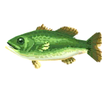 Black Bass - Animal Crossing: Pocket Camp