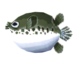 Blowfish - Animal Crossing: Pocket Camp