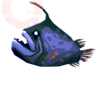 Football Fish - Animal Crossing: Pocket Camp