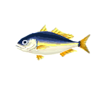 Horse Mackerel - Animal Crossing: Pocket Camp