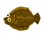 Olive Flounder - Animal Crossing: Pocket Camp