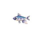 Pale Chub - Animal Crossing: Pocket Camp