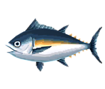 Tuna - Animal Crossing: Pocket Camp