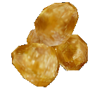 PukPuk Eggs - Star Fox Adventures