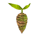 Alpine Root - Star Fox Adventures