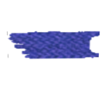 Camp Flag - Star Fox Adventures