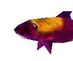 Fish - Star Fox Adventures