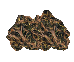 Thorn Bush - Star Fox Adventures